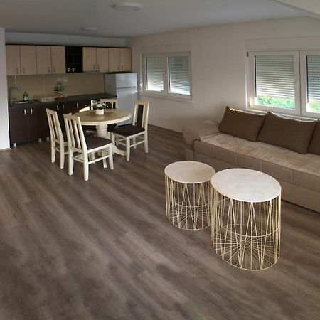 Apartments Kamenjar Novi Sad Oda fotoğraf