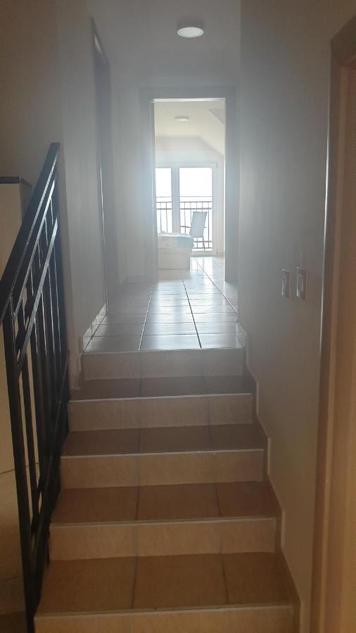 Apartments Kamenjar Novi Sad Oda fotoğraf